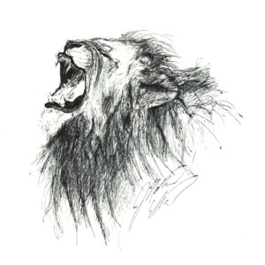 Lion's Cry