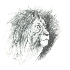 Regal Lion Print